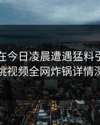 圈内人在今日凌晨遭遇猛料引发联想樱桃视频全网炸锅详情深扒
